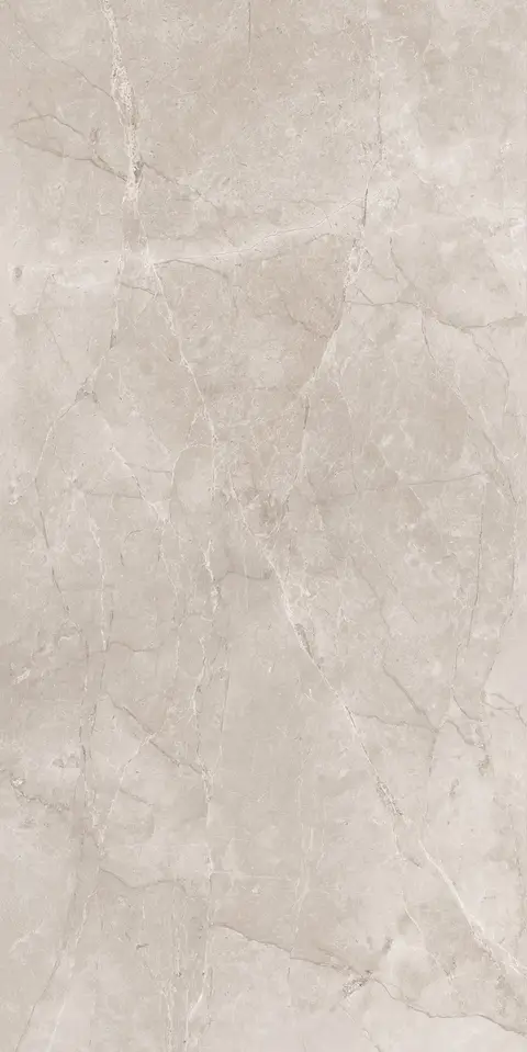 SILVER STOME BROWN